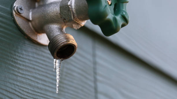 Best Sewer Line Repair  in Livingston, CA