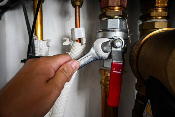 Best Drain Cleaning Services  in Livingston, CA